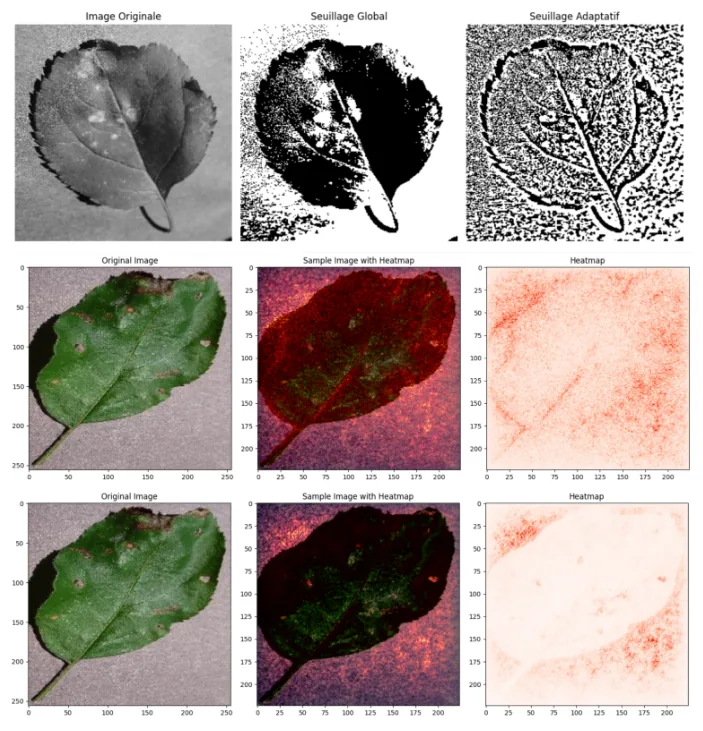 Plant disease detection heatmaps